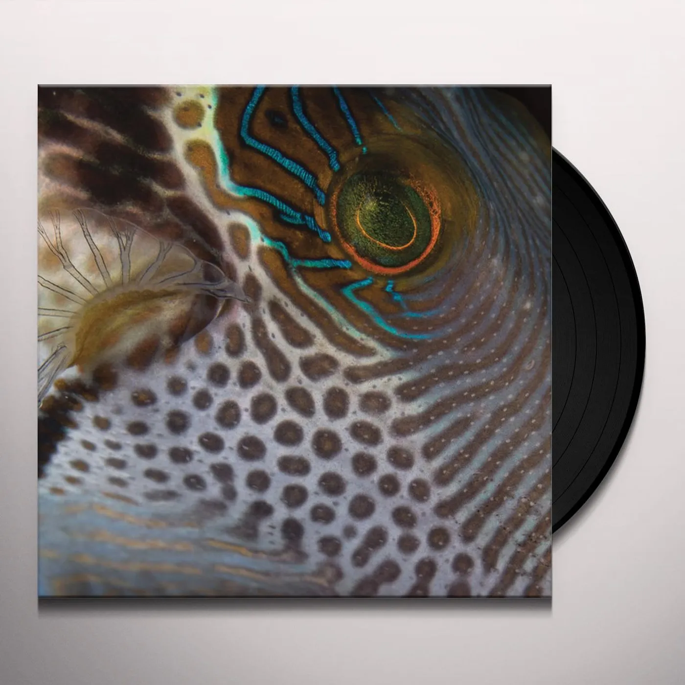 Aleksandir ARS003 Vinyl Record