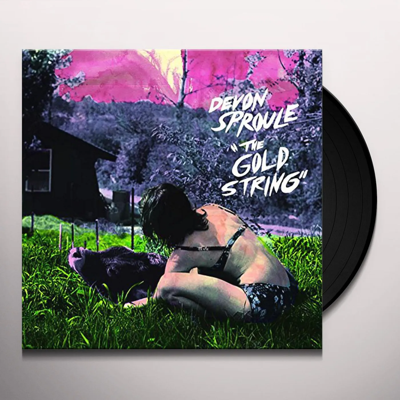 Devon Sproule GOLD SPRING Vinyl Record