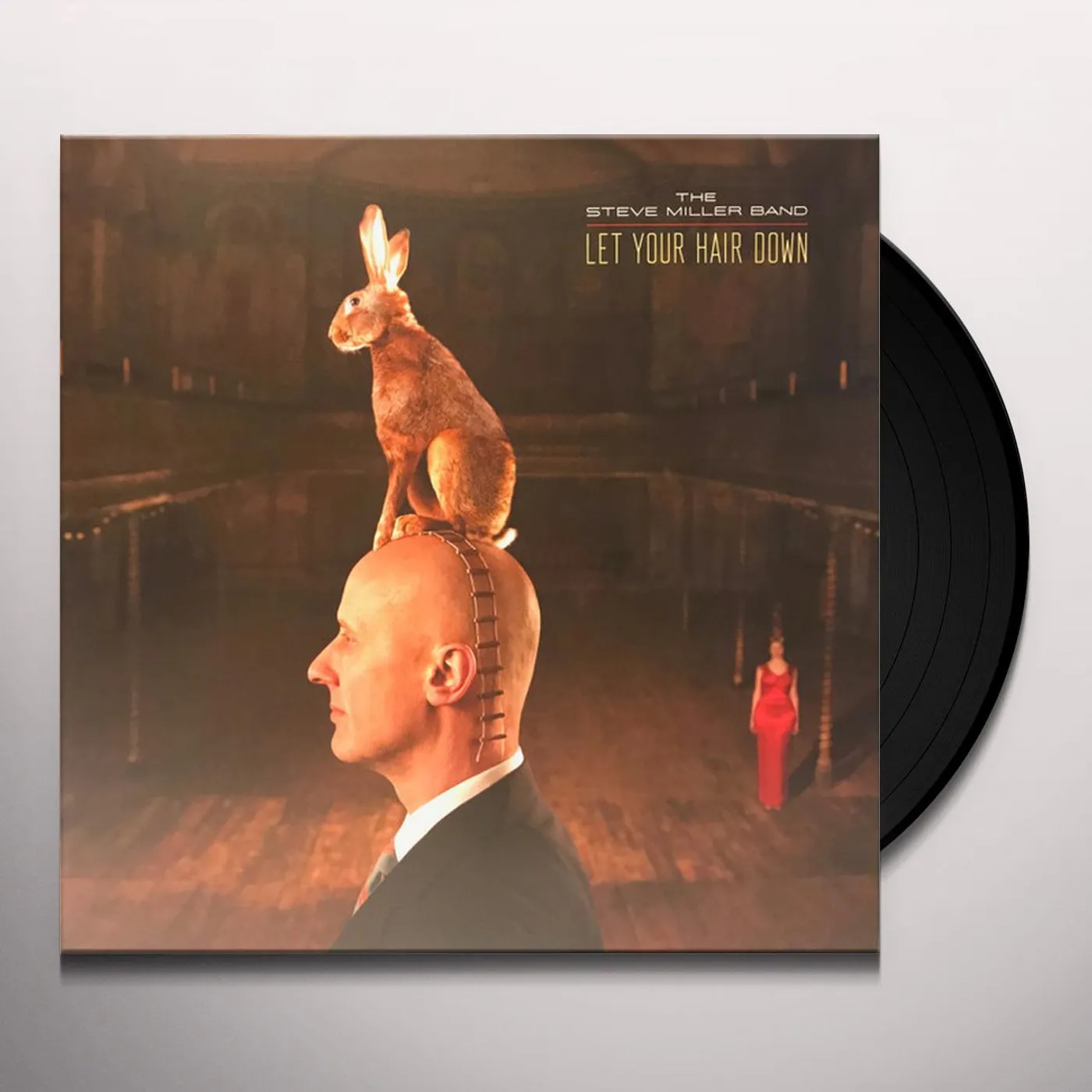 Steve Miller Band LET YOUR HAIR DOWN Vinyl Record