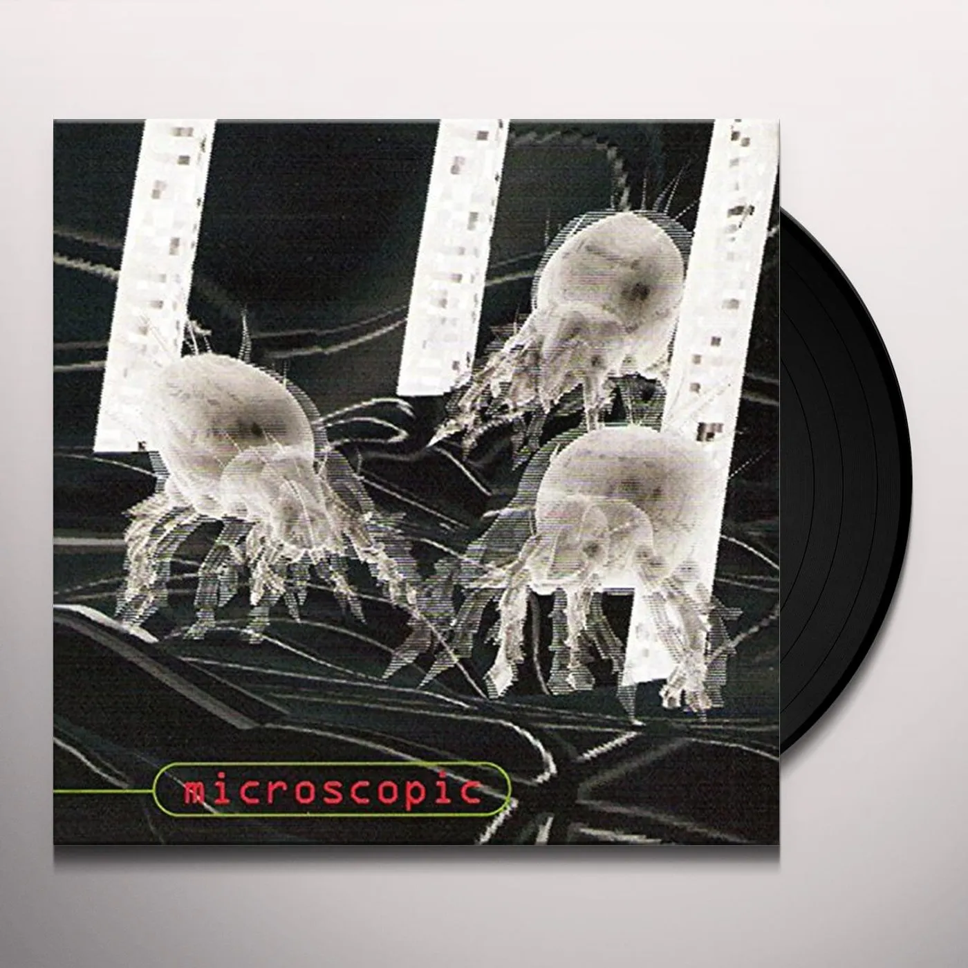 Download Microscopic Vinyl Record