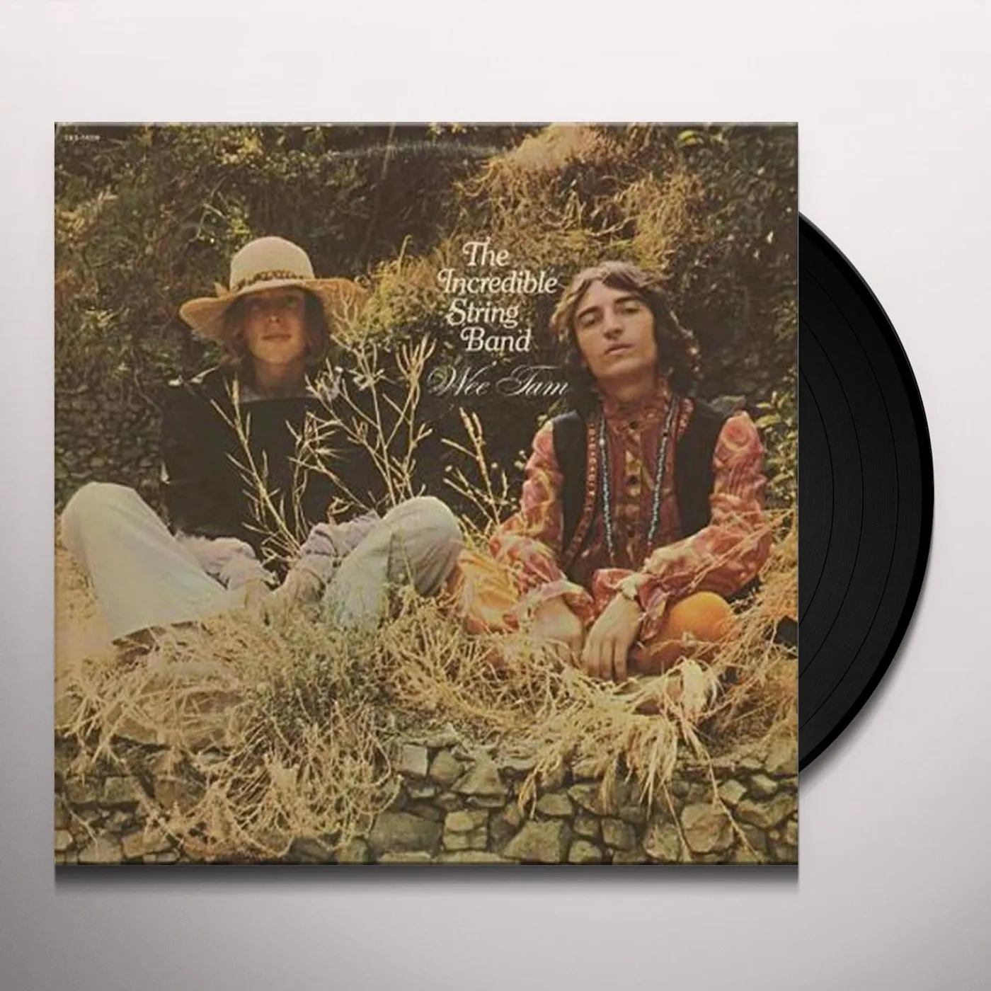 Incredible String Band Wee Tam Vinyl Record