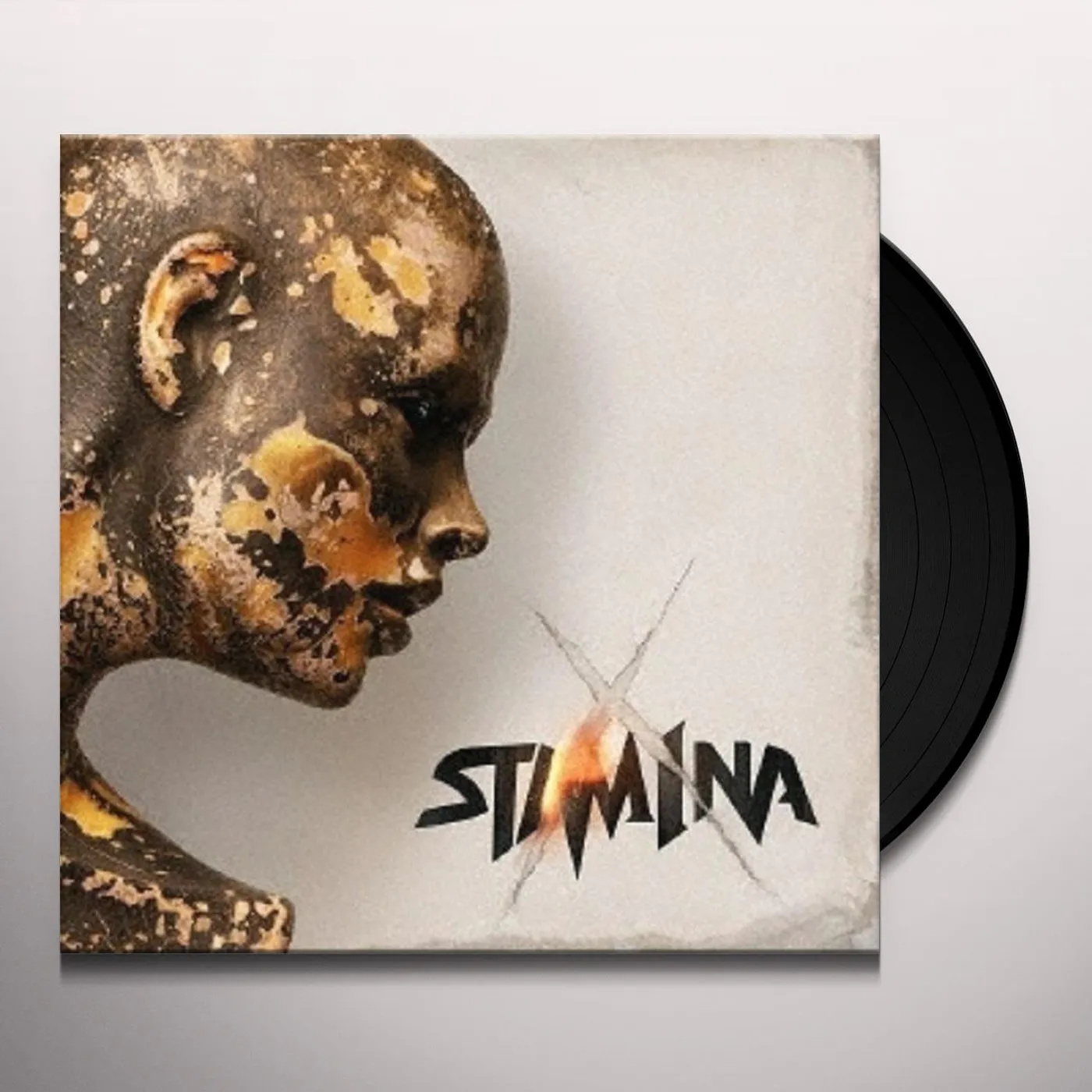 Stam1na X. Vinyl Record