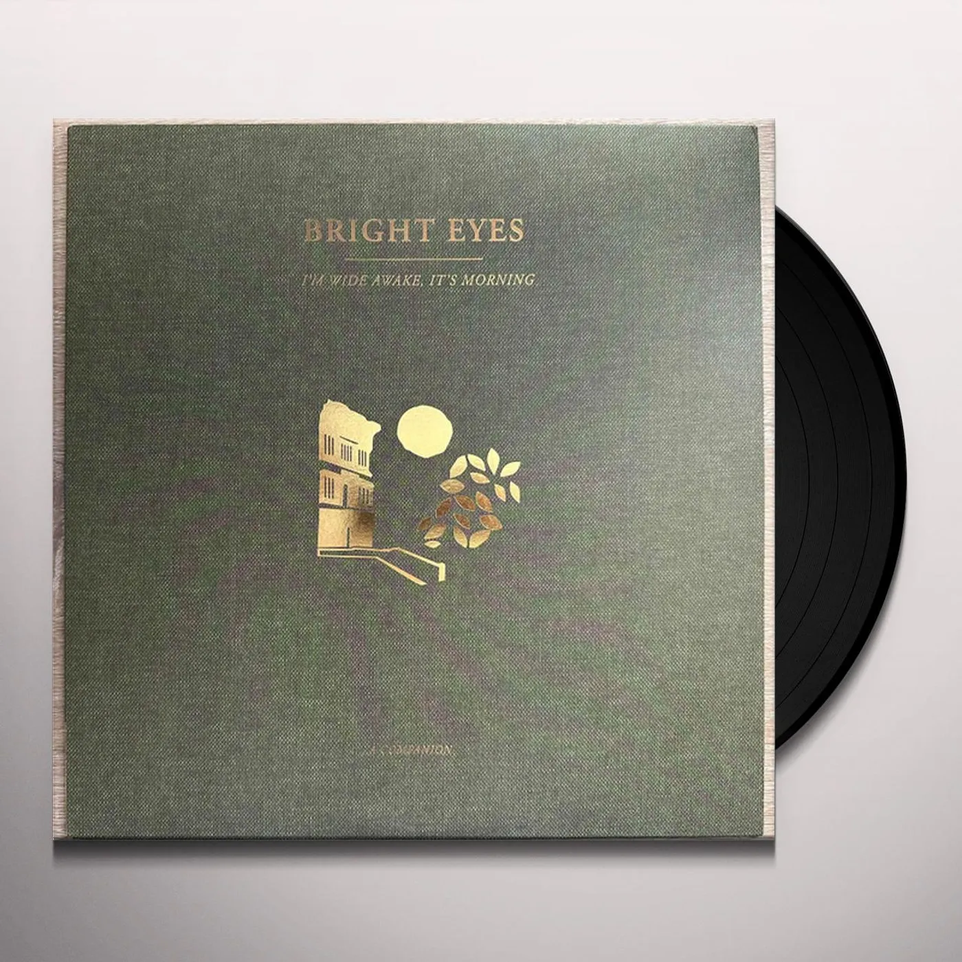 Bright Eyes I'M WIDE AWAKE, IT'S MORNING: A COMPANION Vinyl Record