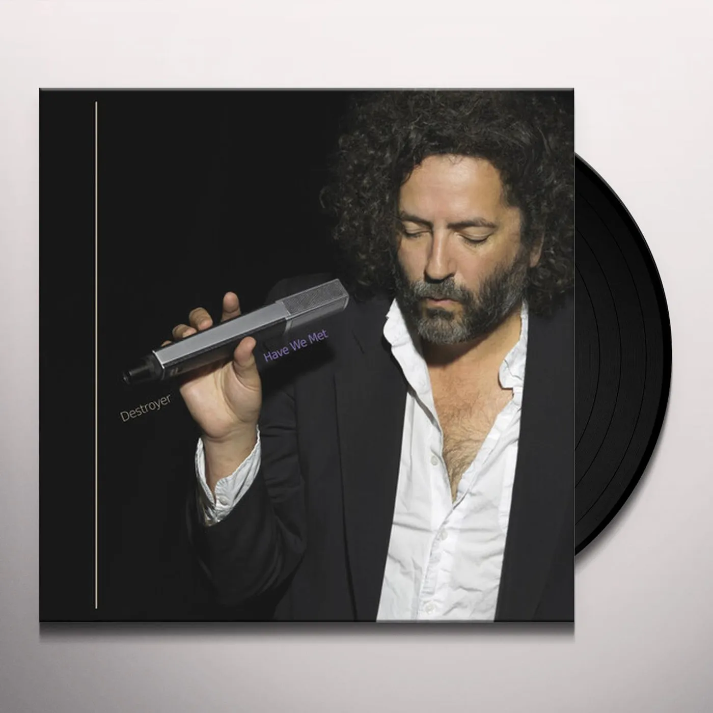 Destroyer Have We Met Vinyl Record