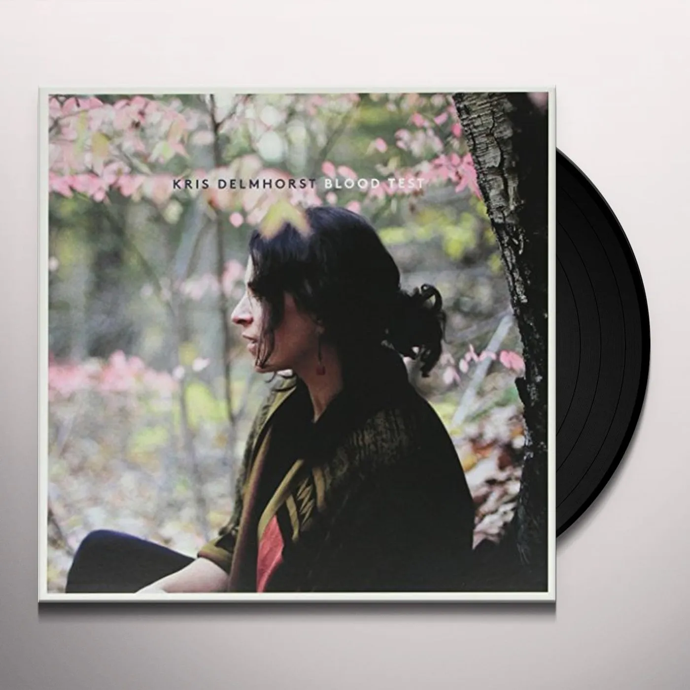 Kris Delmhorst Blood Test Vinyl Record