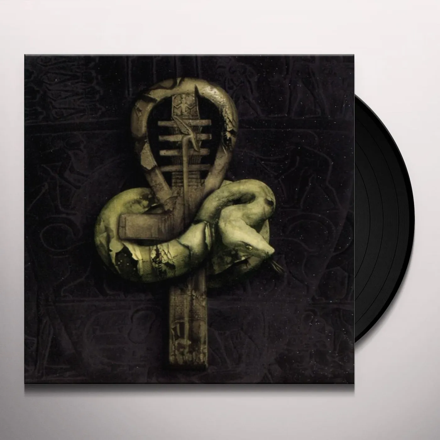 Nile IN THEIR DARKENED SHRINES Vinyl Record