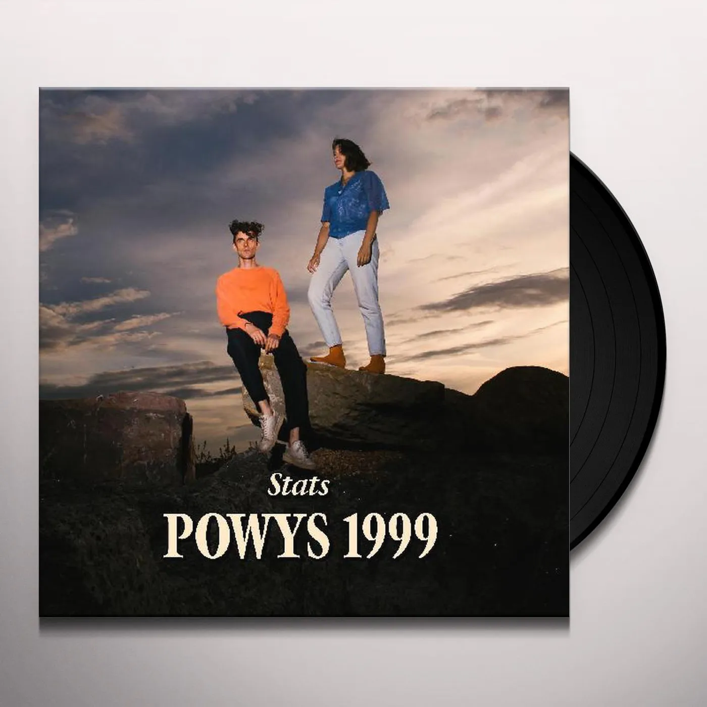 Stats Powys 1999 Vinyl Record