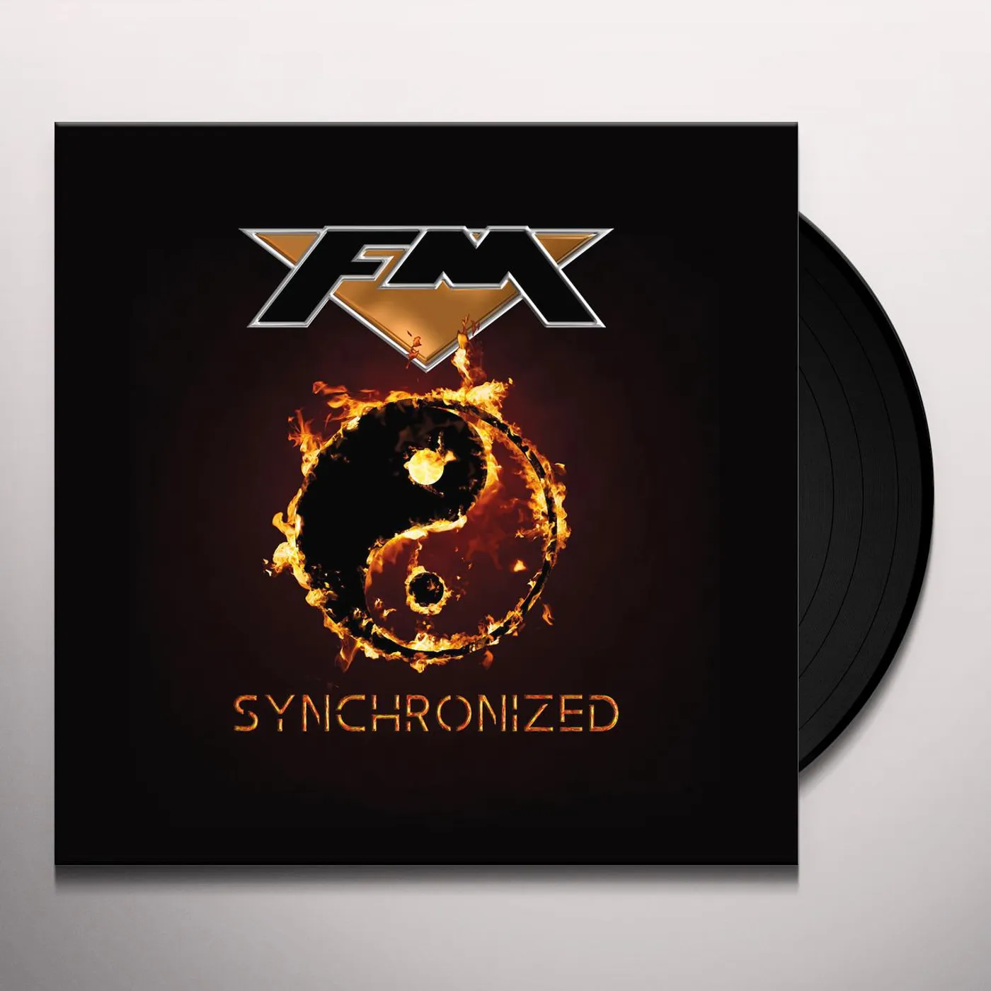 FM Synchronized Vinyl Record