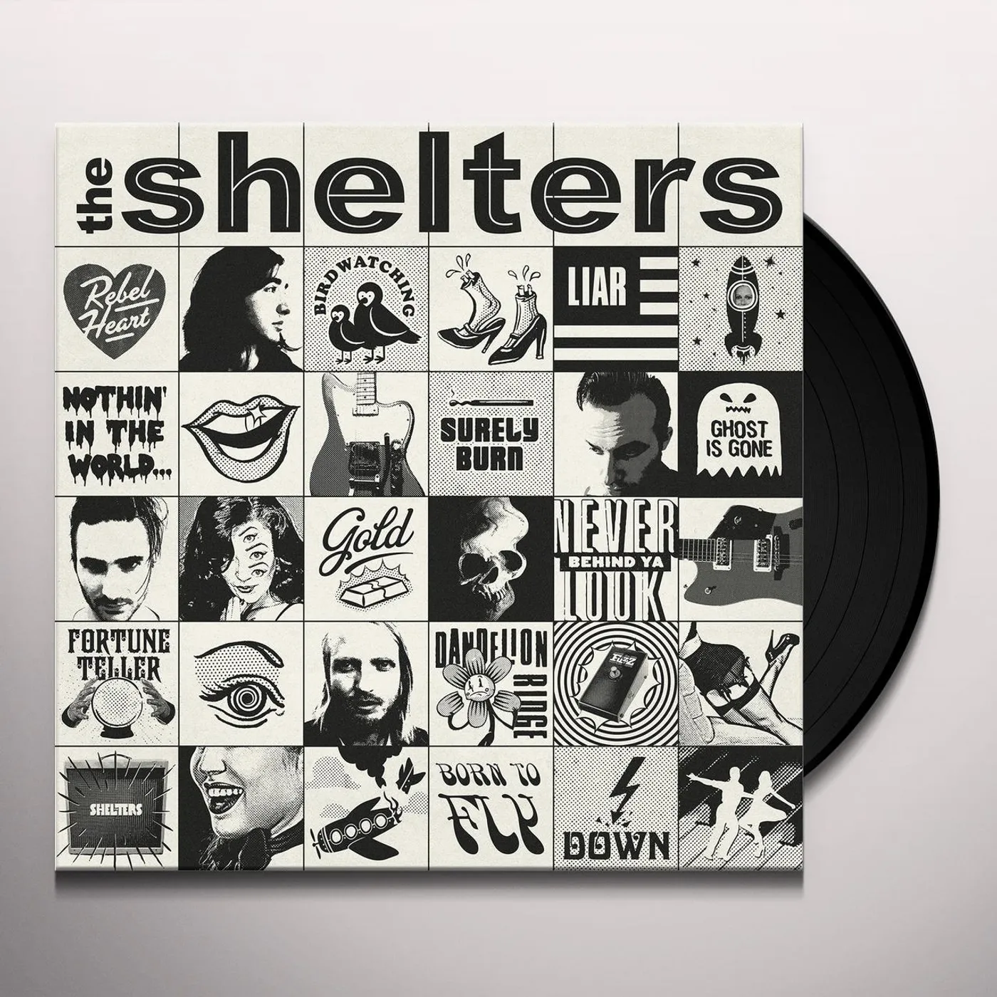 The Shelters Vinyl Record