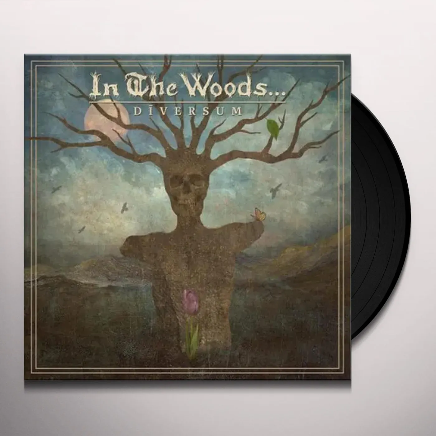 In The Woods... DIVERSUM Vinyl Record