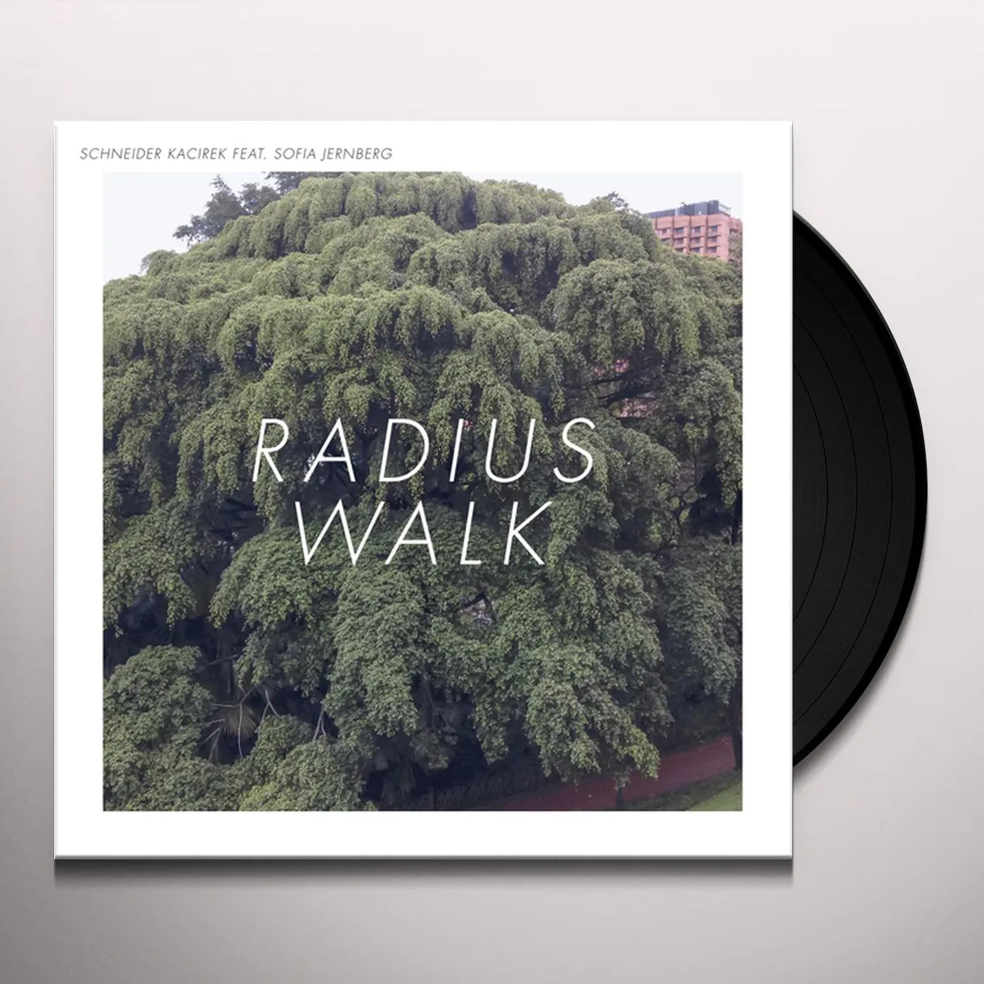 Schneider Kacirek Radius Walk Vinyl Record