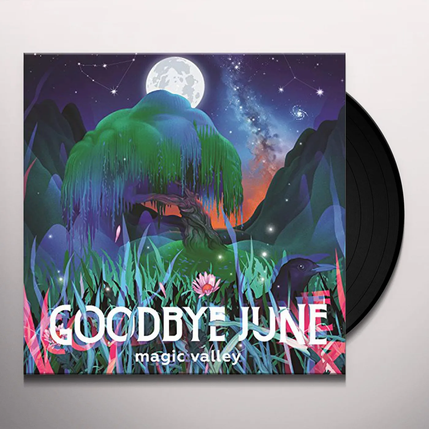 Goodbye June Magic Valley Vinyl Record