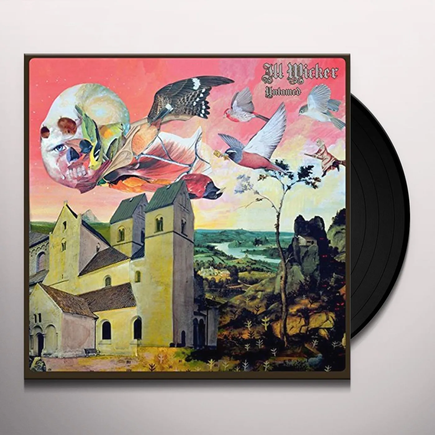 Ill Wicker Untamed Vinyl Record