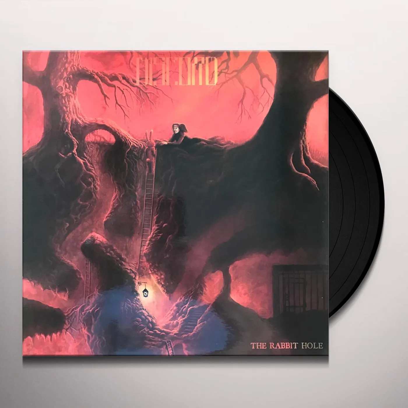 The Great Discord RABBIT HOLE Vinyl Record