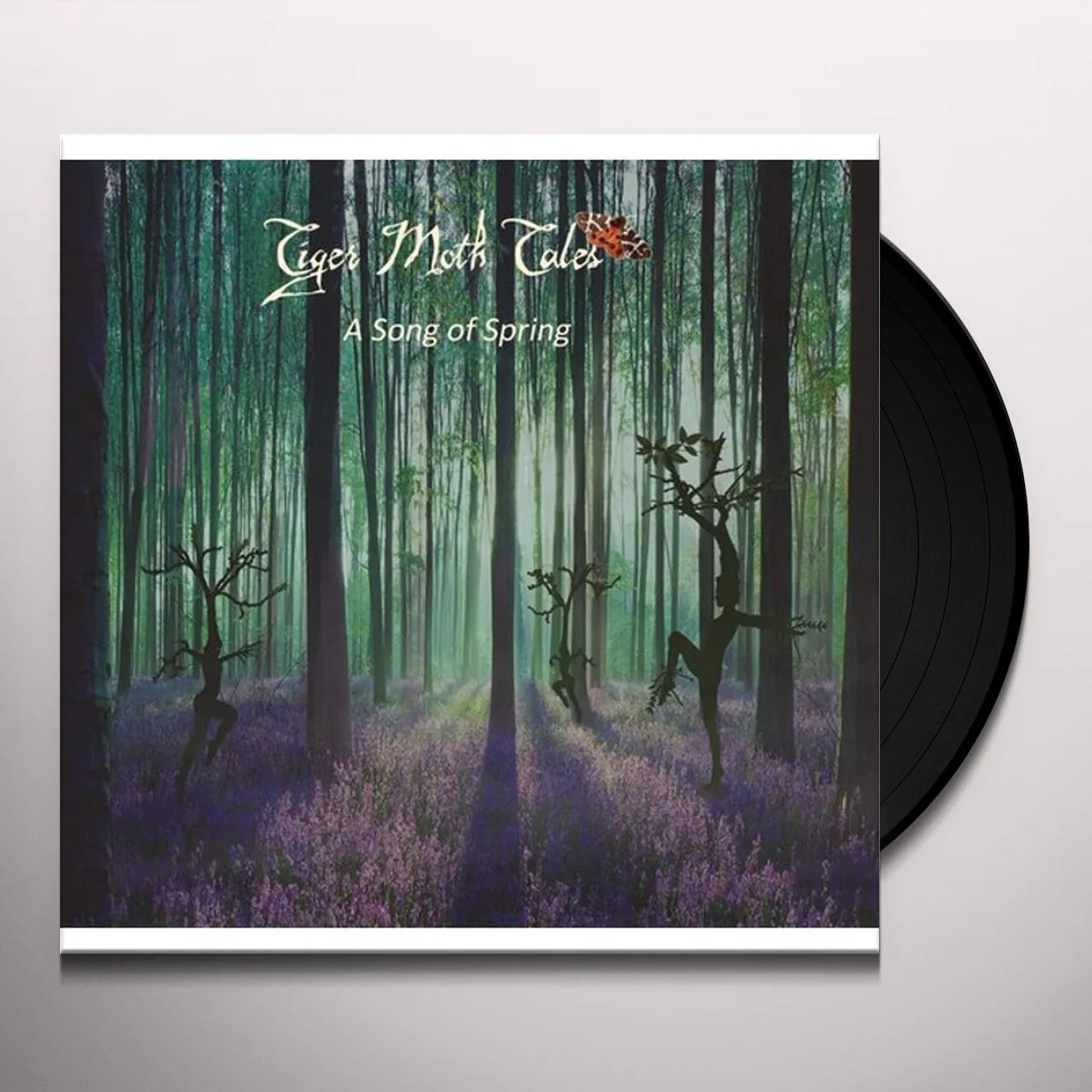 Tiger Moth Tales SONG OF SPRING Vinyl Record