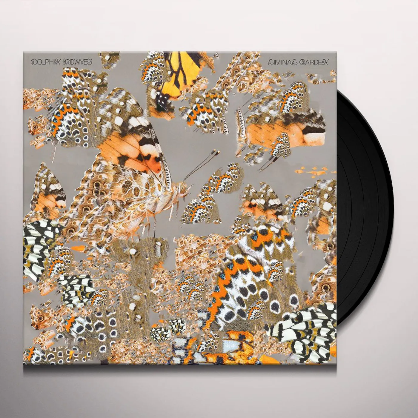 Dolphin Midwives Liminal Garden Vinyl Record