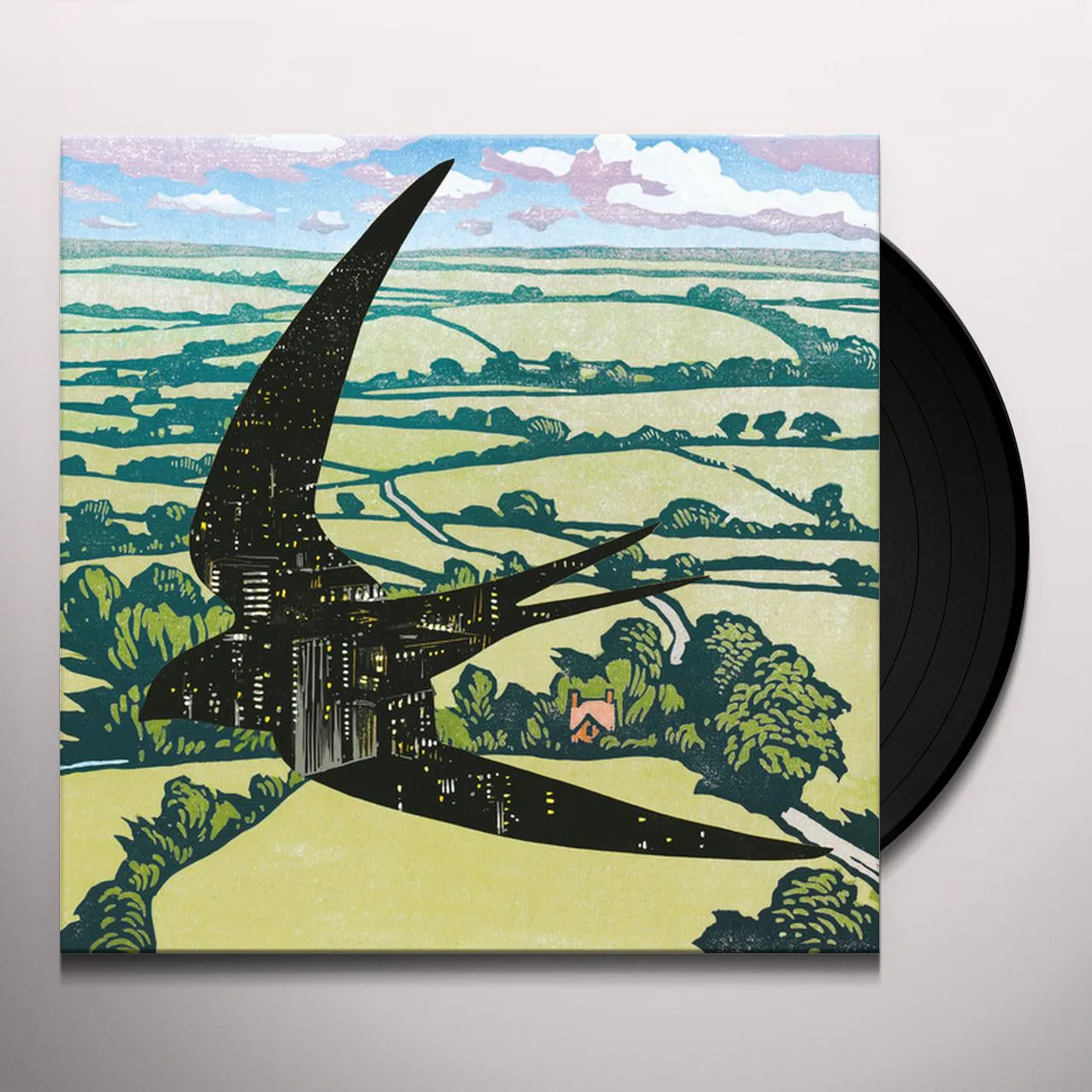 Bibio Sleep On The Wing Vinyl Record