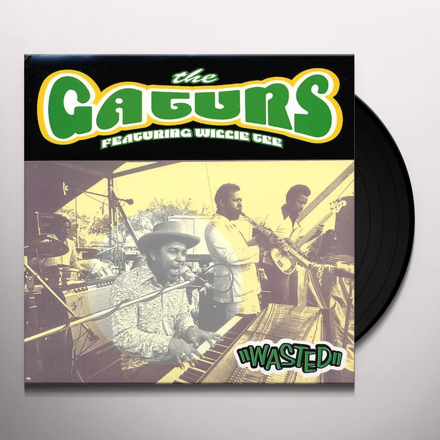 The Gaturs WASTED Vinyl Record