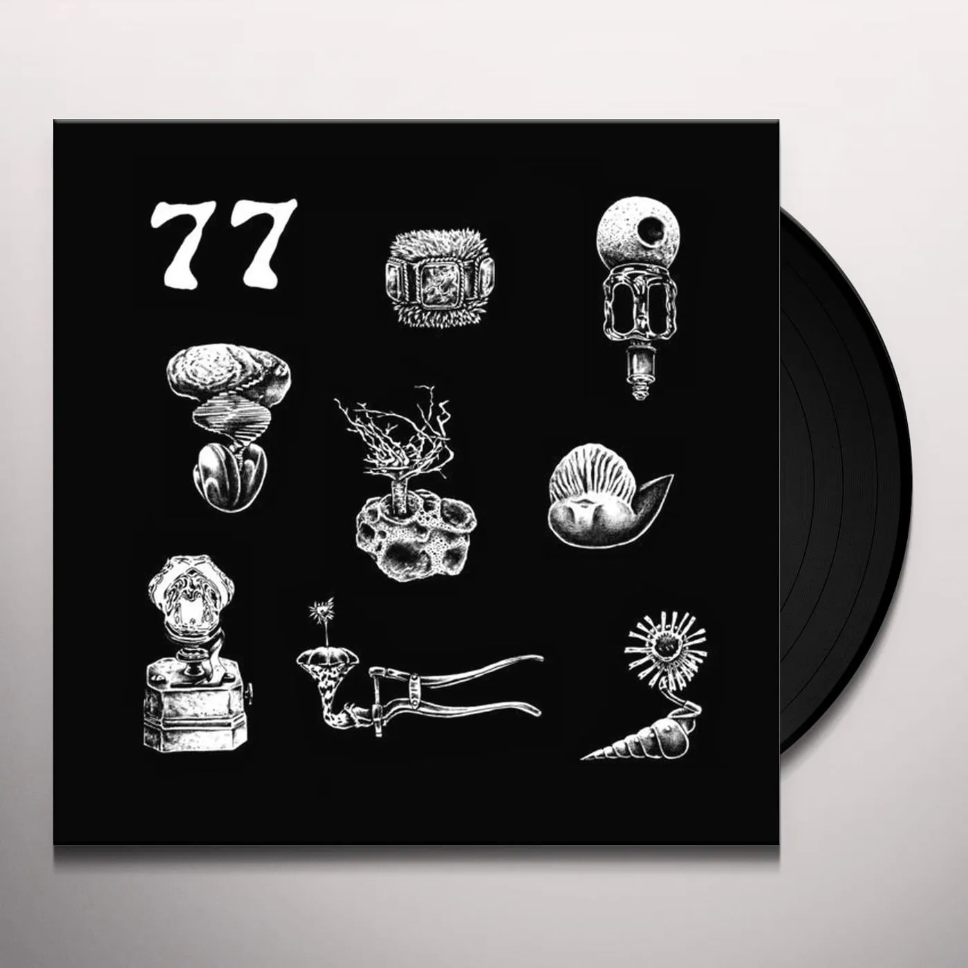 Hypnobirds 77: A Brief Landing on the Earth's Surface Vinyl Record