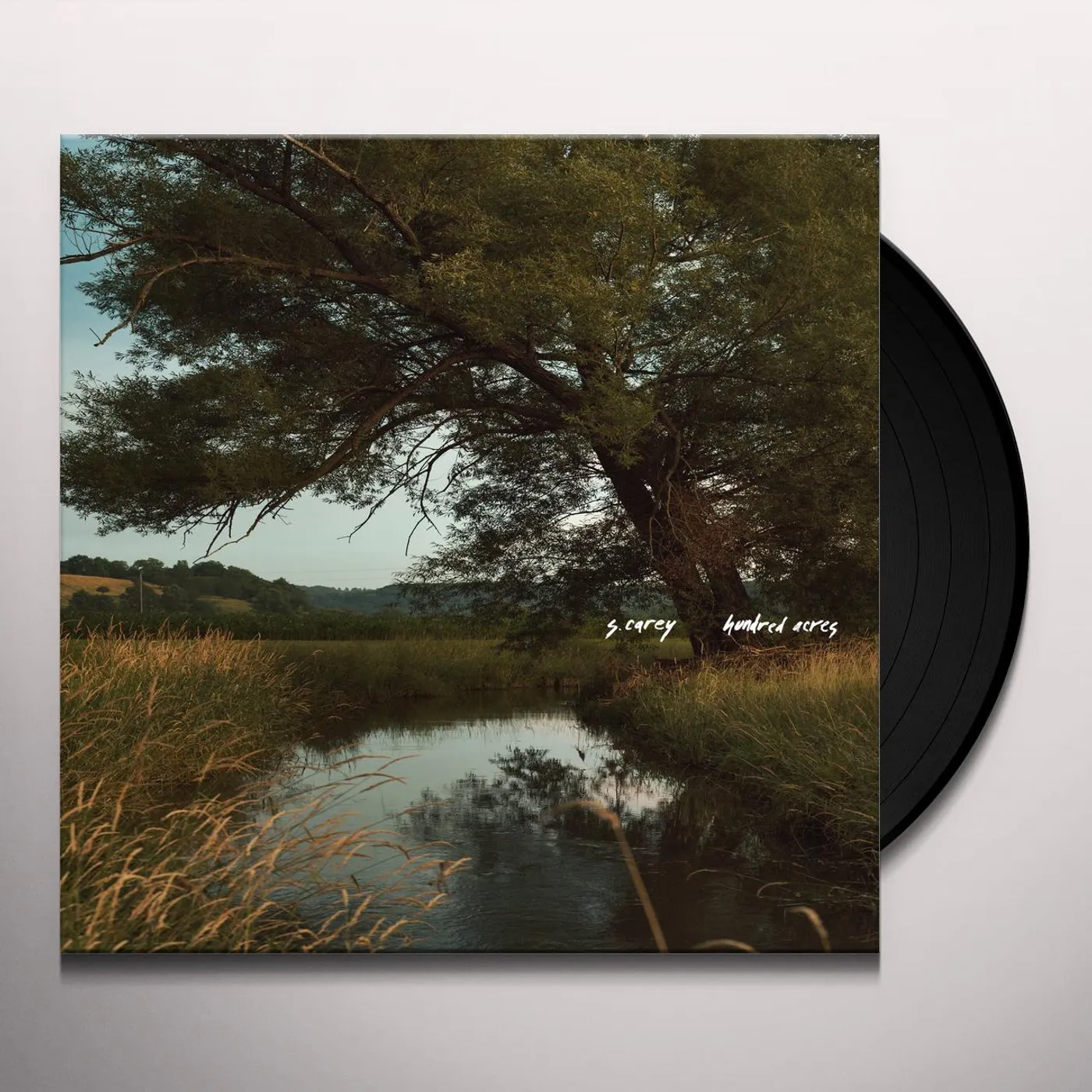 S. Carey HUNDRED ACRES Vinyl Record