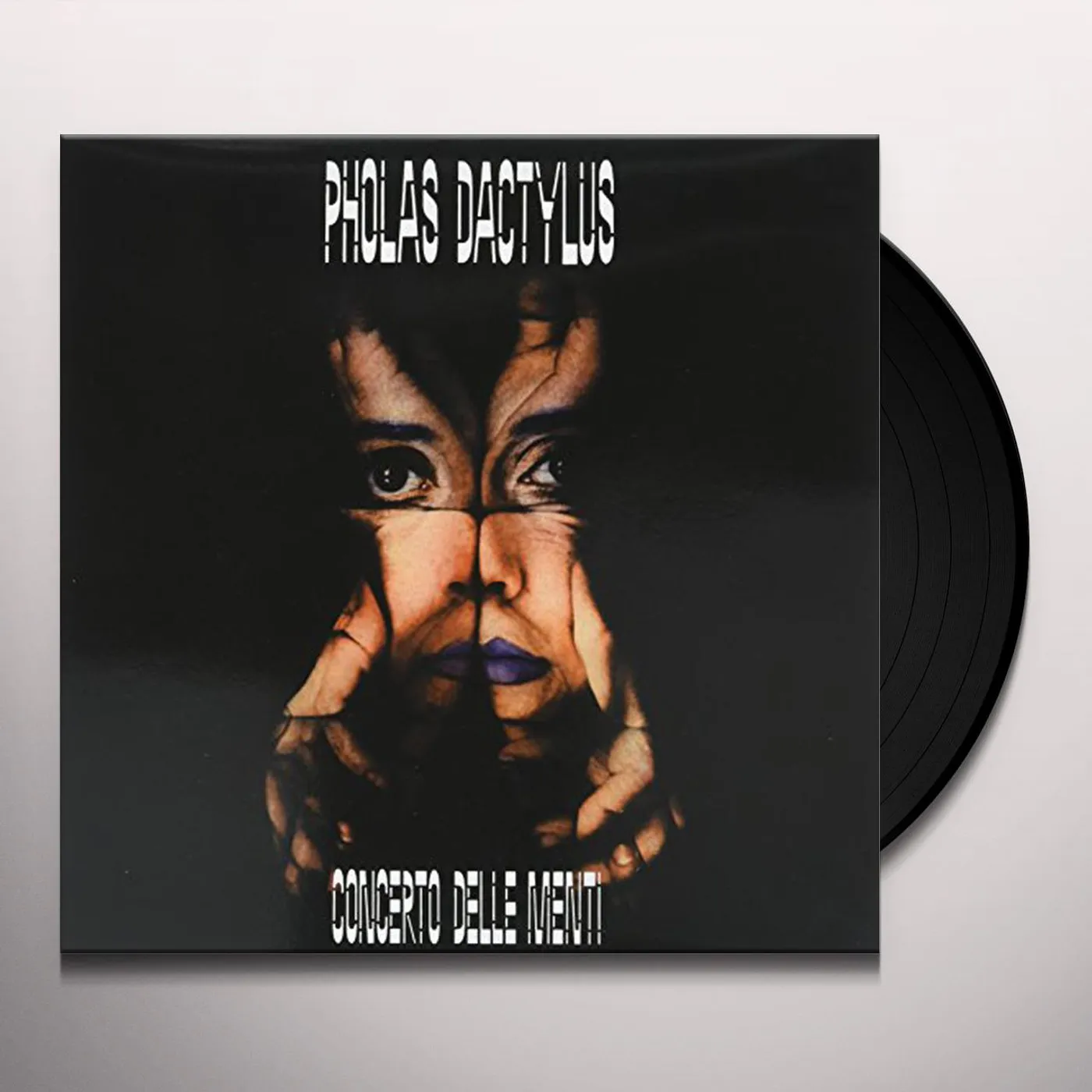 Pholas Dactylus Concerto delle menti Vinyl Record
