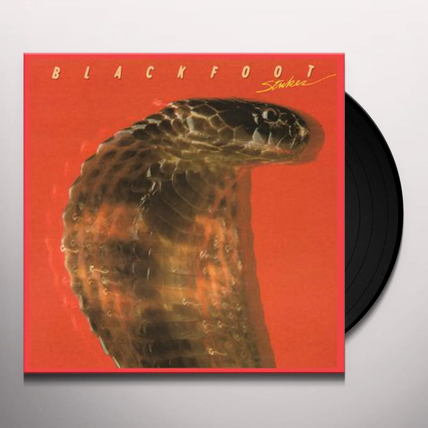 Blackfoot Strikes Vinyl Record