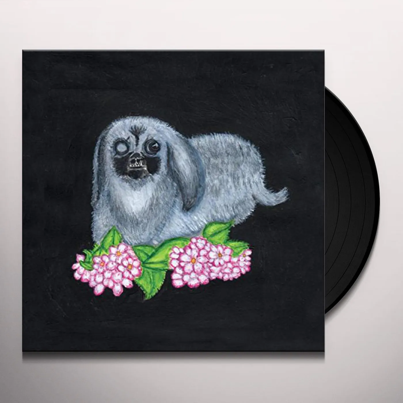 Guadalupe Plata 2017 Vinyl Record