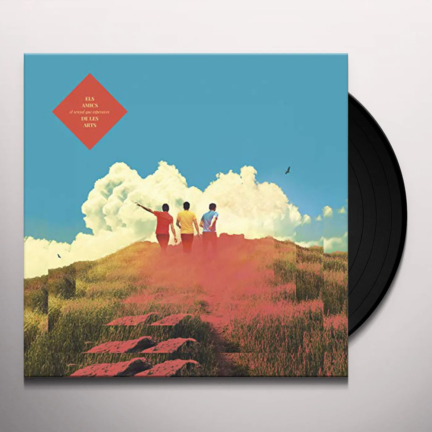 Els Amics De Les Arts El Senyal Que Esperaves Vinyl Record