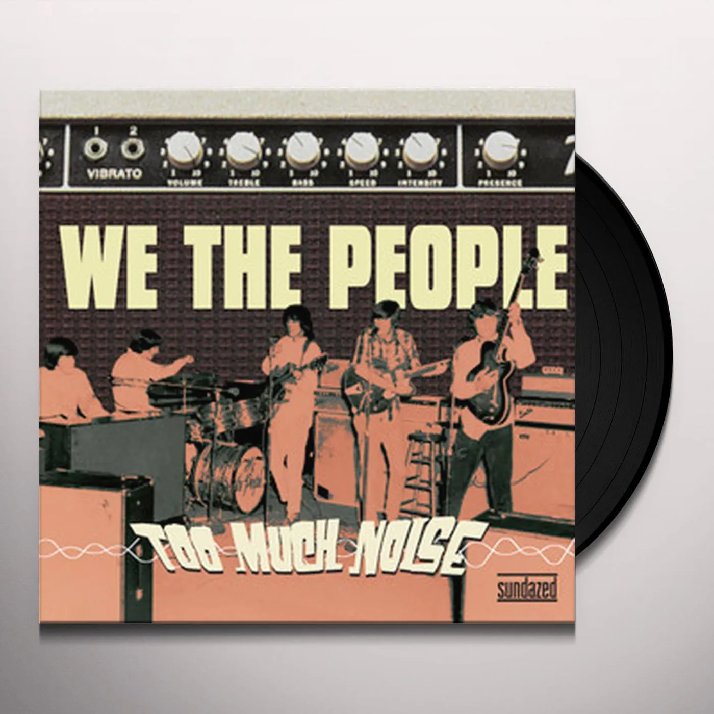 We The People Too Much Noise Vinyl Record