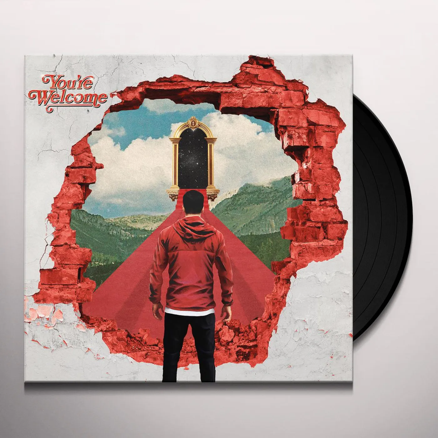 A Day To Remember You're Welcome Vinyl Record