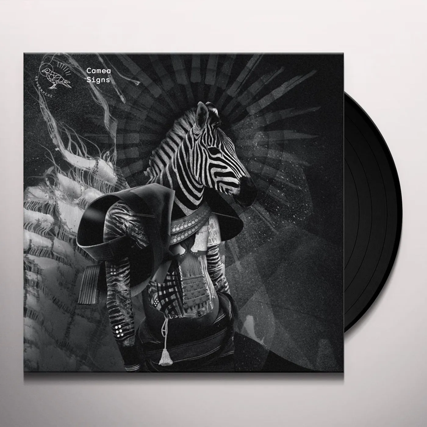 Camea Signs Vinyl Record