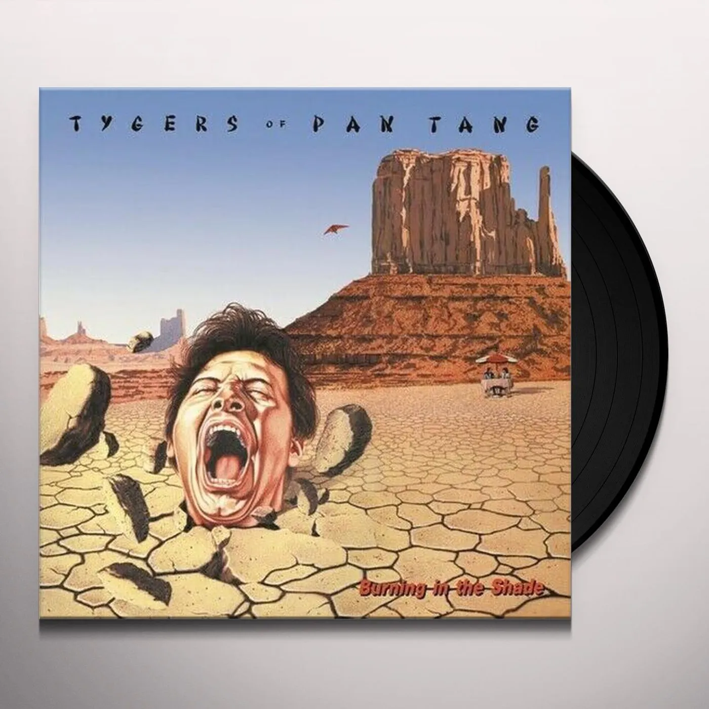 Tygers Of Pan Tang Burning in the Shade Vinyl Record