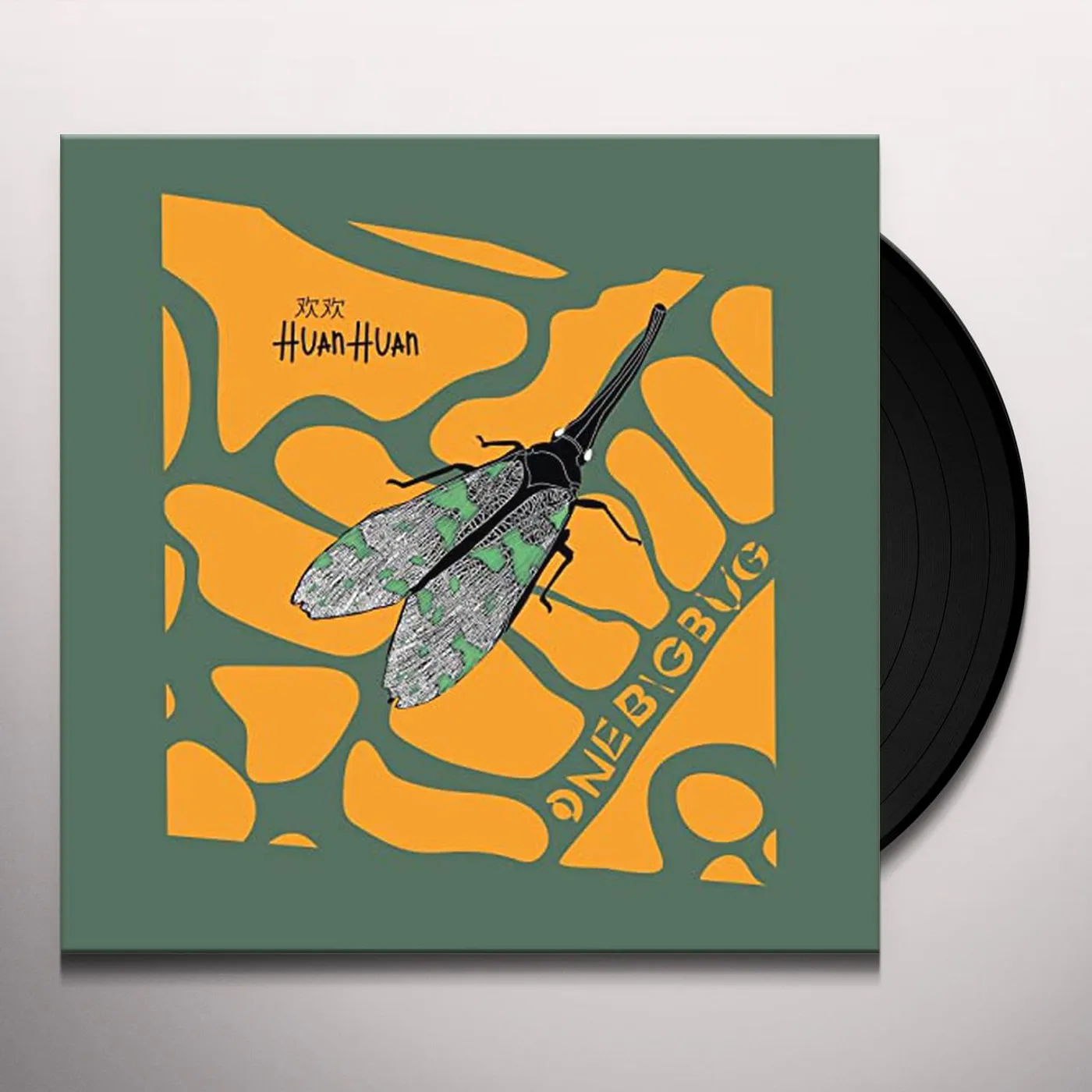 Huan Huan ONE BIG BUG Vinyl Record