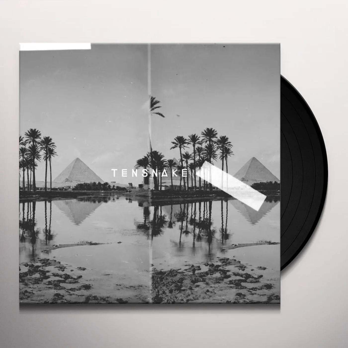 Tensnake DESIRE Vinyl Record