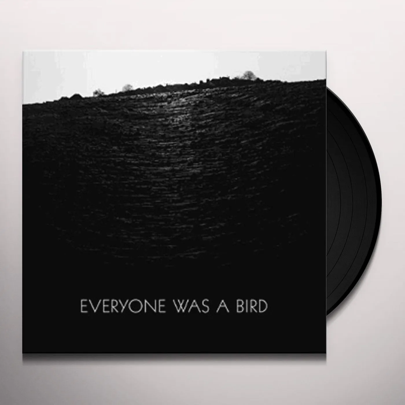 Grasscut Everyone Was a Bird Vinyl Record