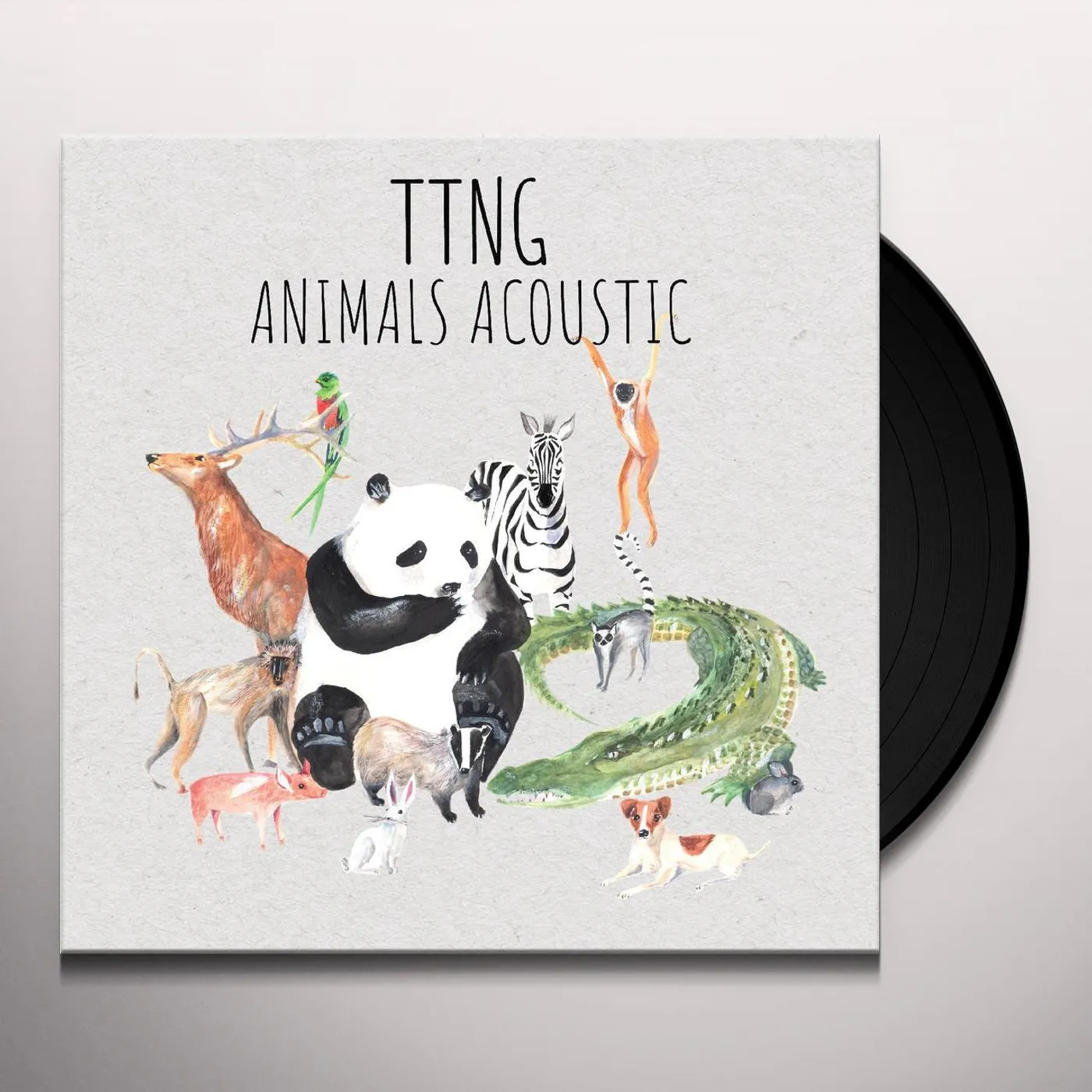 TTNG Animals Acoustic Vinyl Record