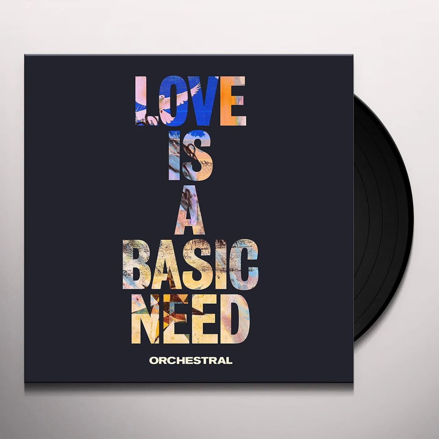 Embrace Love Is A Basic Need (Orchestral) Vinyl Record