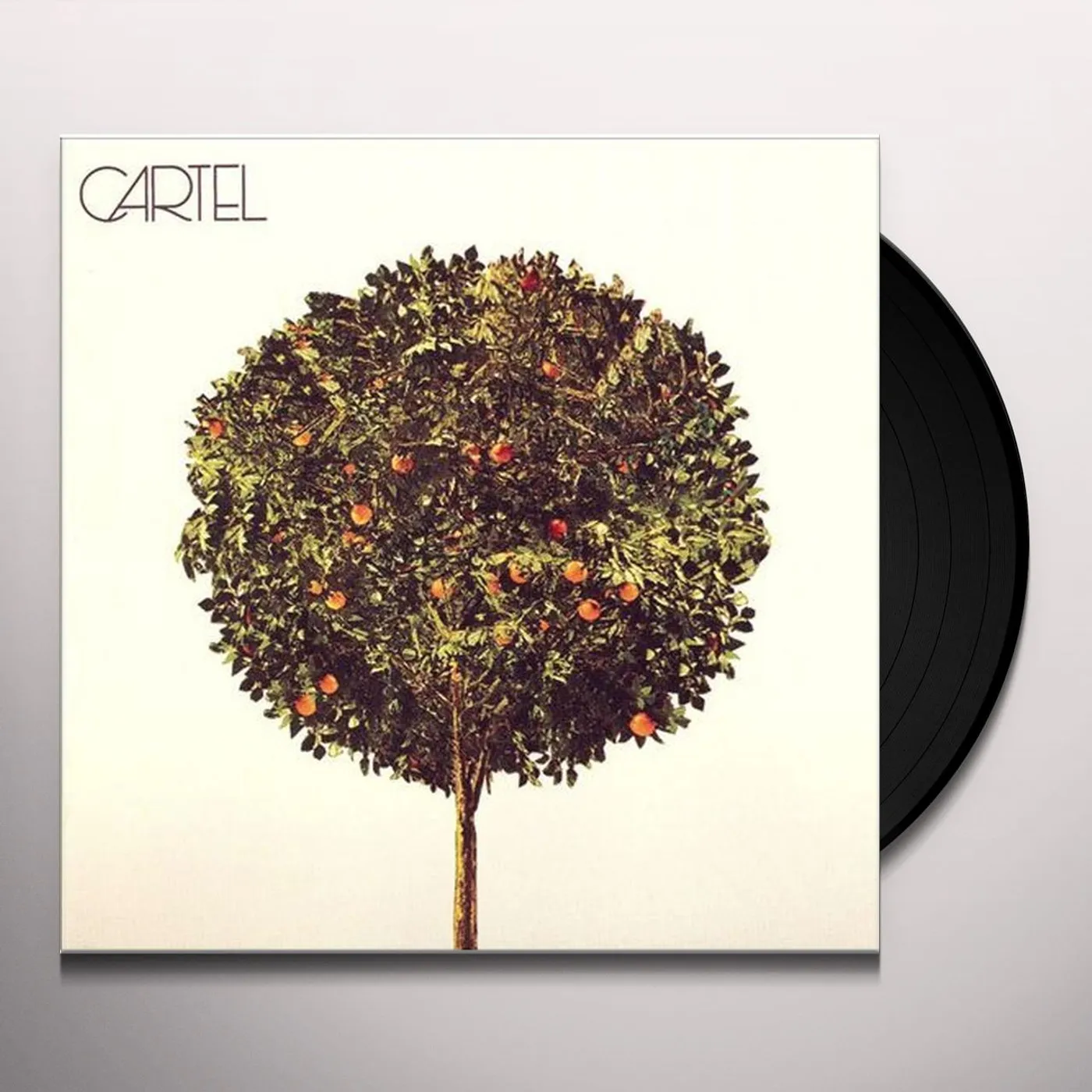 Cartel Vinyl Record