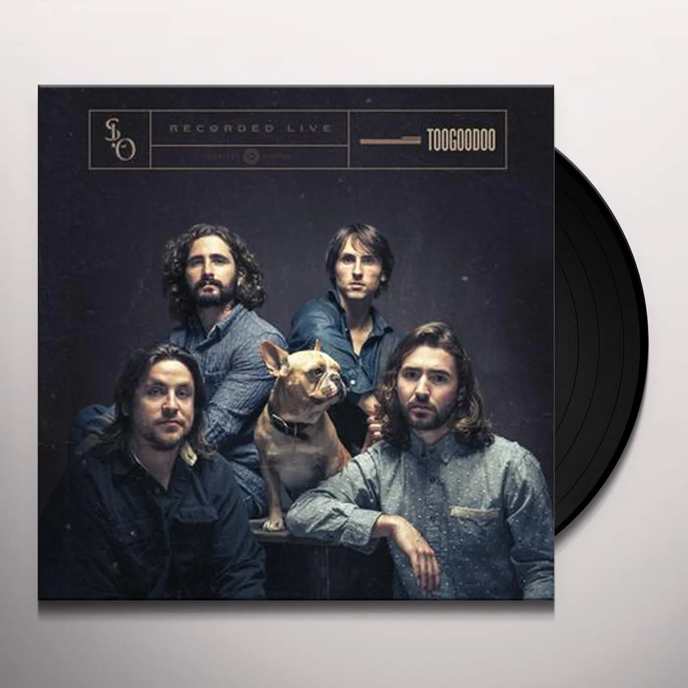 Stop Light Observations TOOGOODOO Vinyl Record