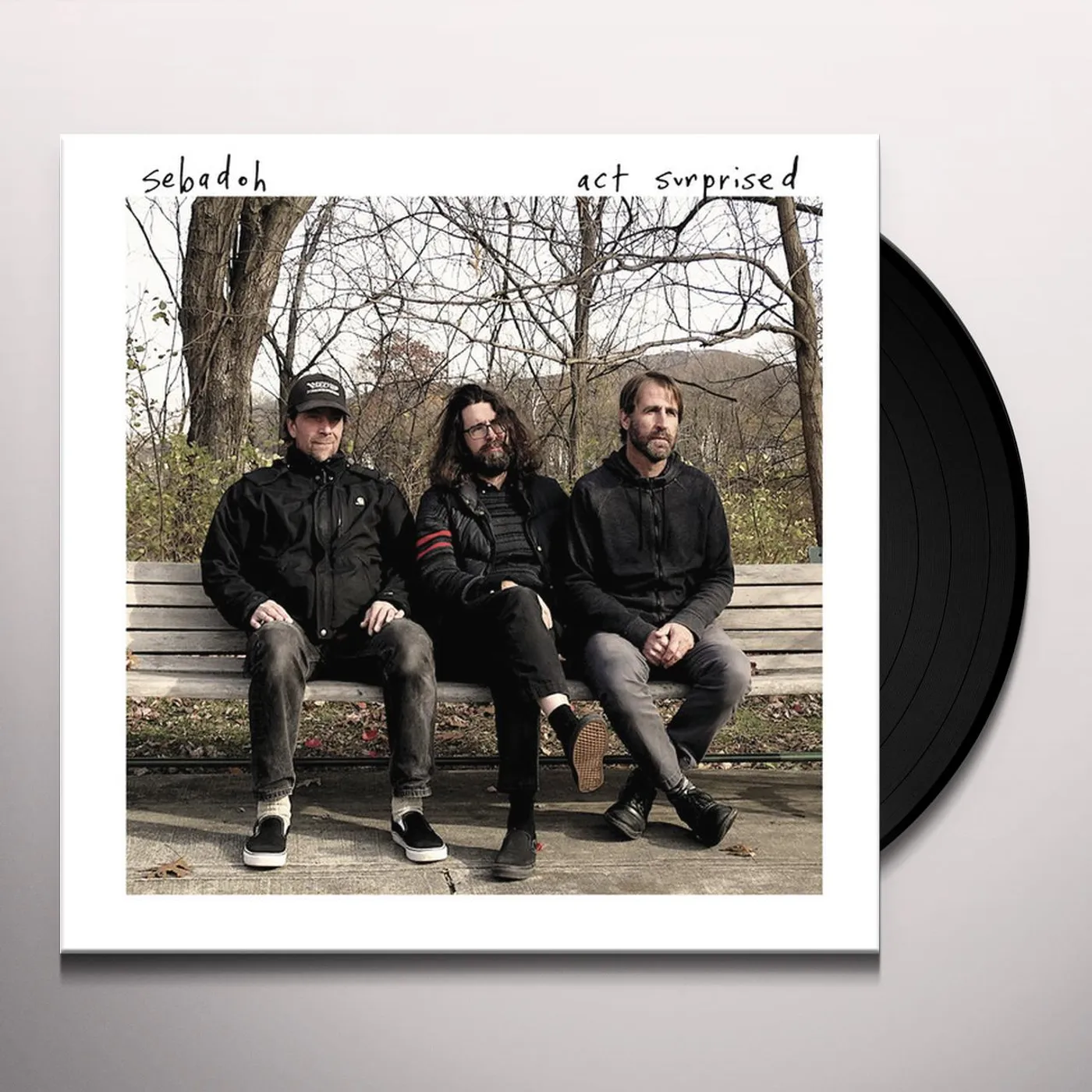 Sebadoh Act Surprised Vinyl Record