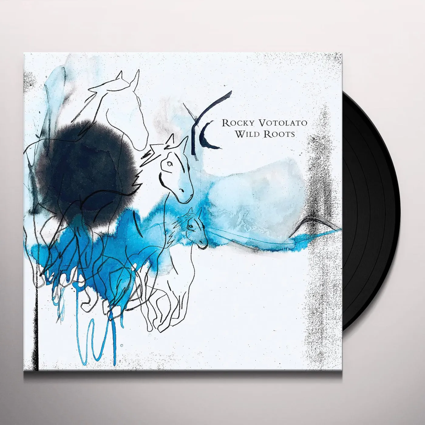 Rocky Votolato WILD ROOTS Vinyl Record