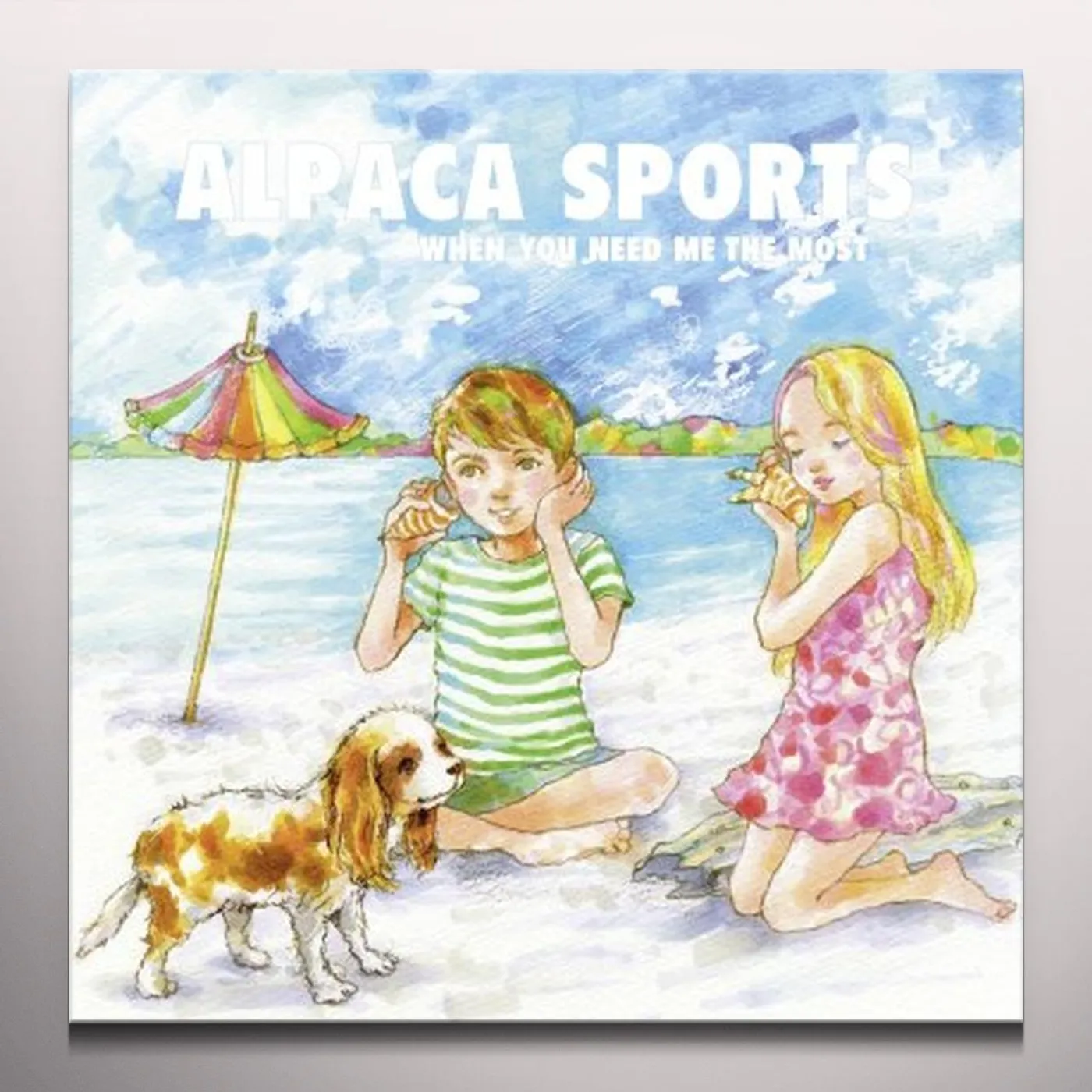 Alpaca Sports When you need me the most Vinyl Record