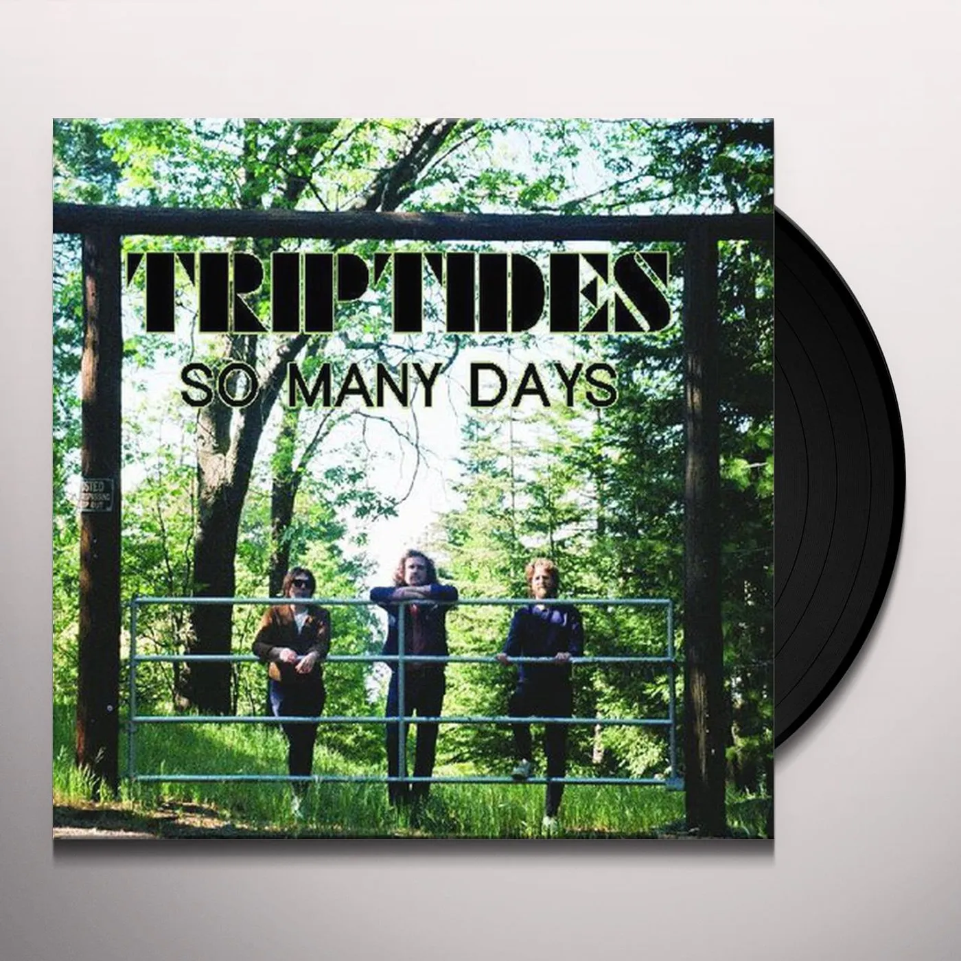 Triptides So Many Days Vinyl Record