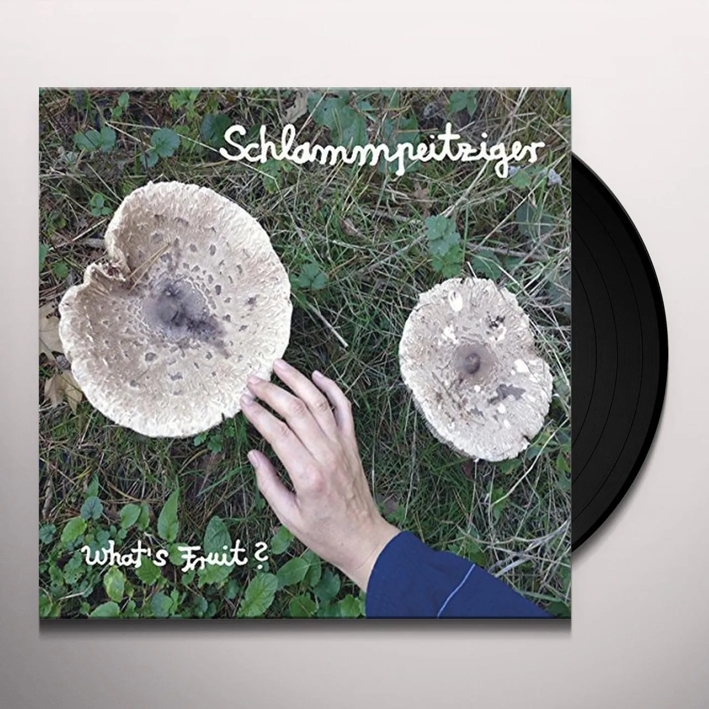 Schlammpeitziger WHATS FRUIT Vinyl Record