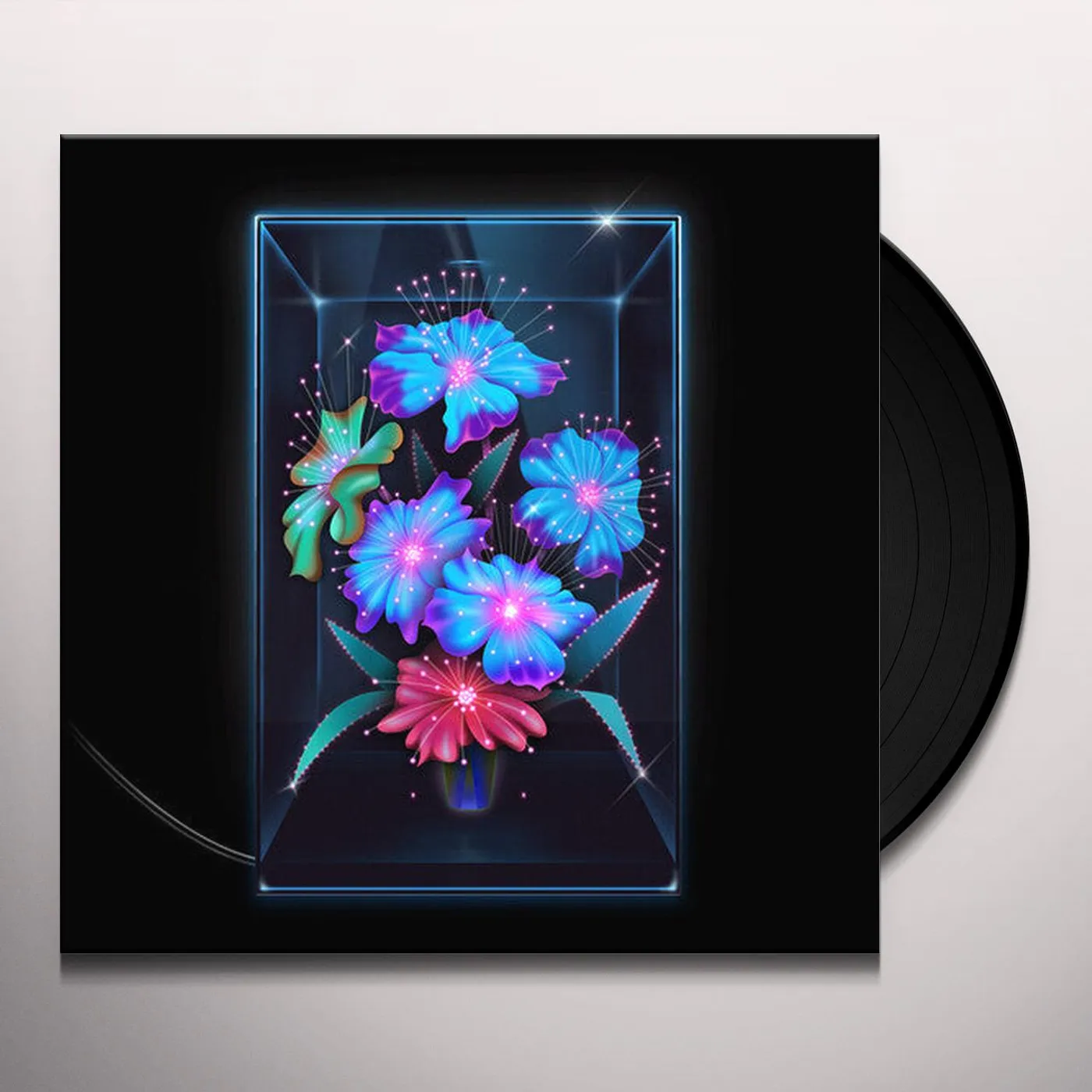 Xenia Rubinos Una Rosa Vinyl Record