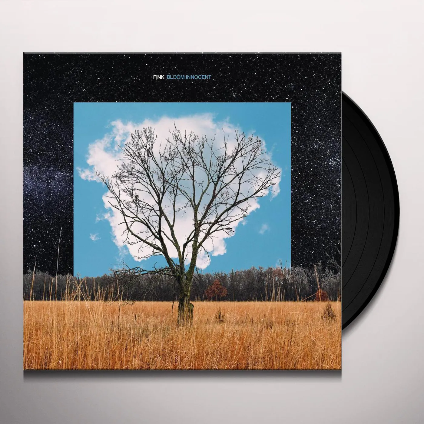 Fink Bloom innocent Vinyl Record