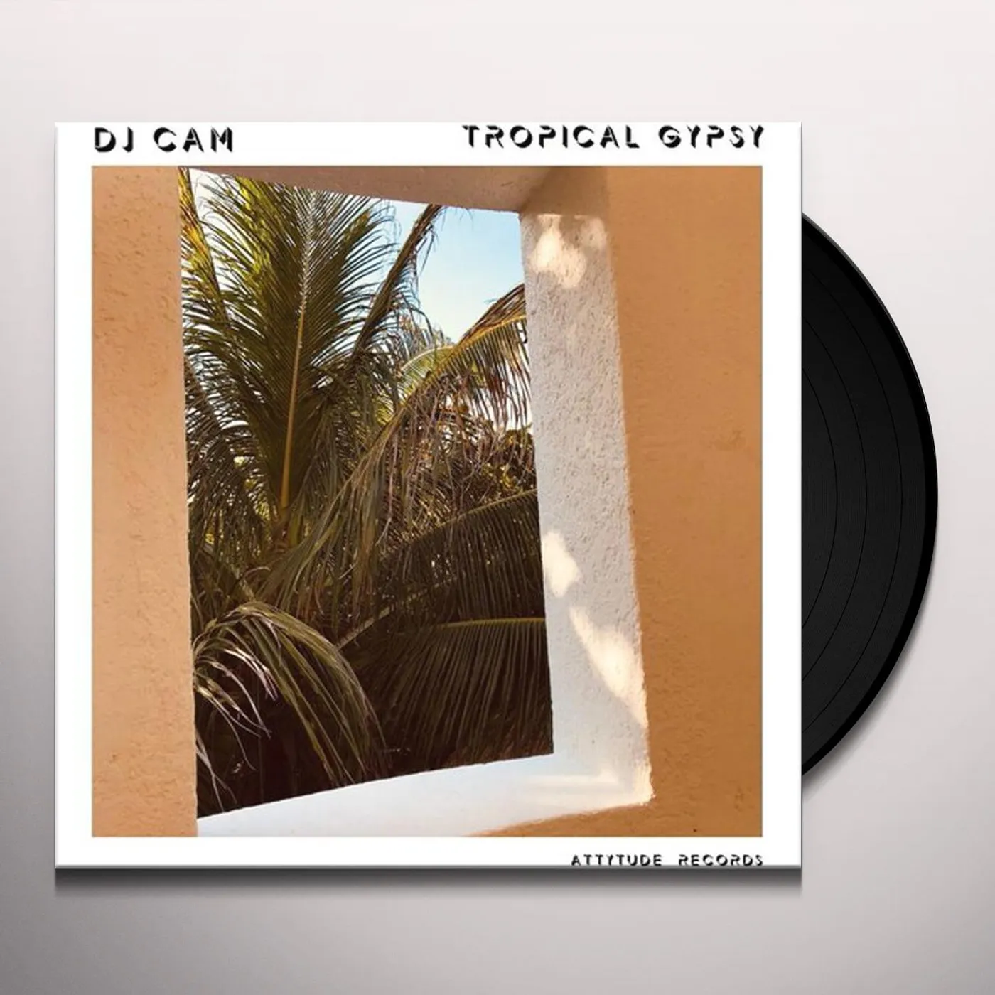 DJ Cam TROPICAL GYPSY Vinyl Record