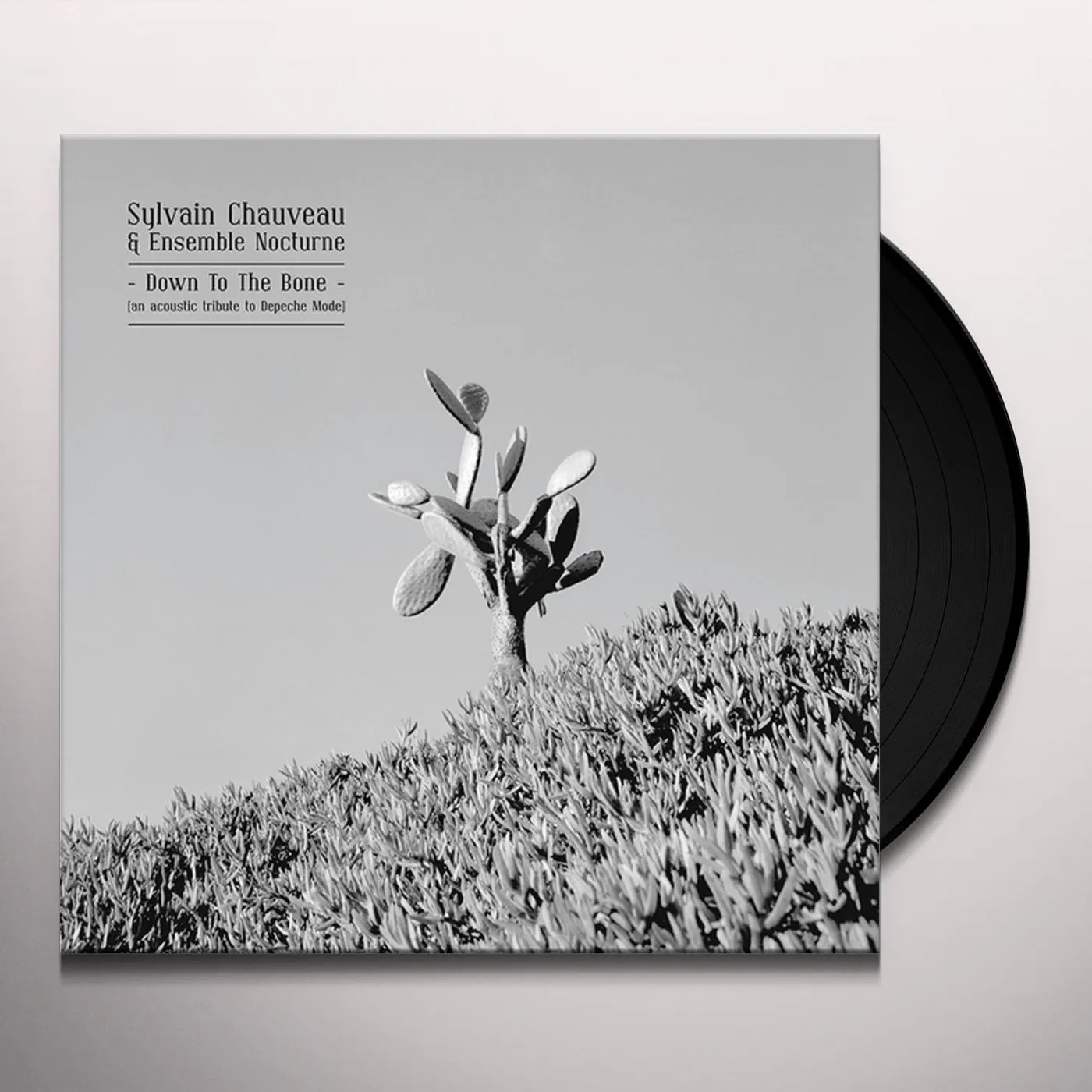 Sylvain Chauveau DOWN TO THE BONE: ACOUSTIC TRIBUTE TO DEPECHE MODE Vinyl Record