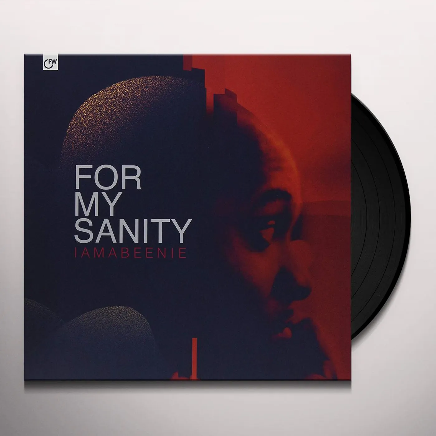 14KT For My Sanity Vinyl Record