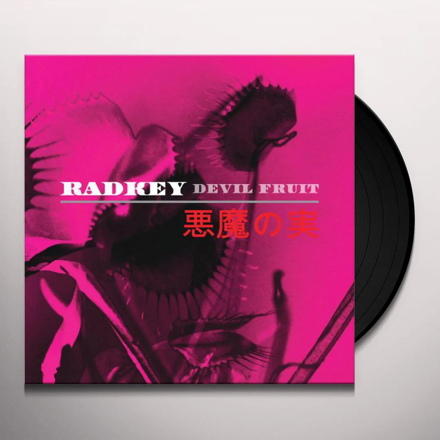 Radkey Devil Fruit Vinyl Record